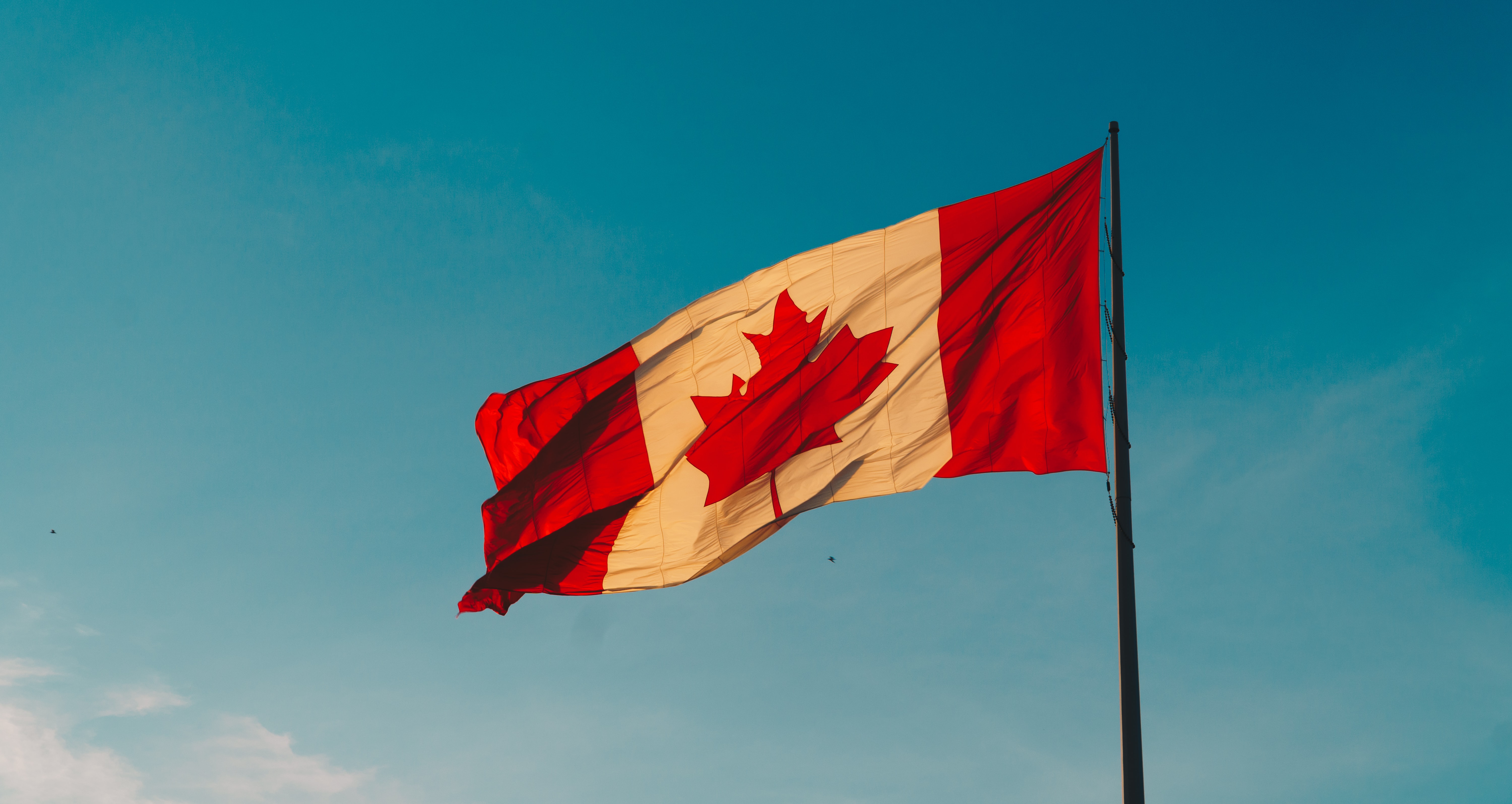 close up of canada flag